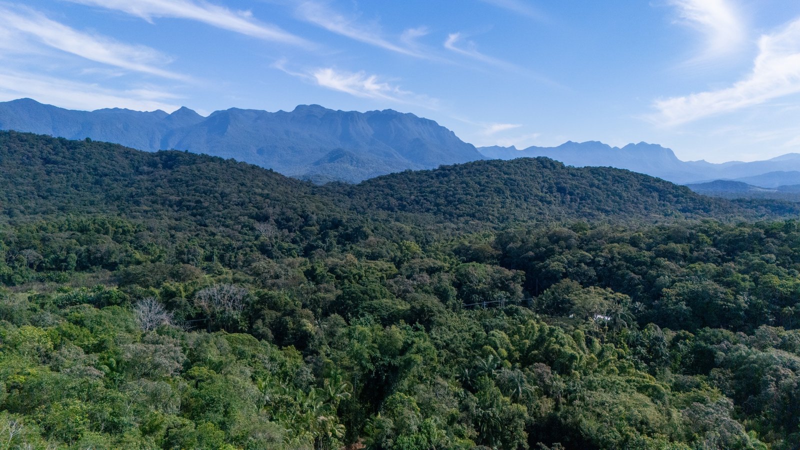Panorama da mata e da Serra do Mar vistos do drone