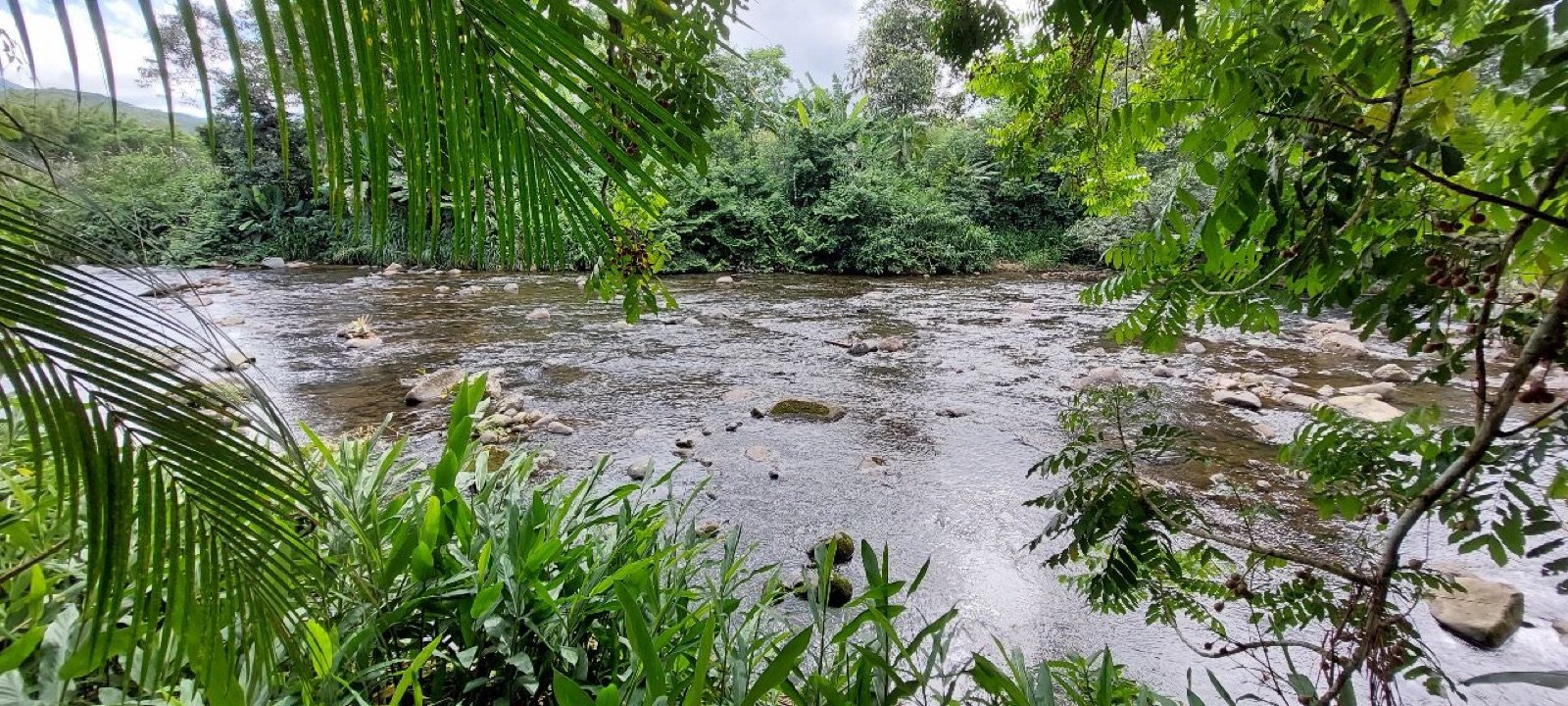 Rio cercado por vegetação na área das chácaras